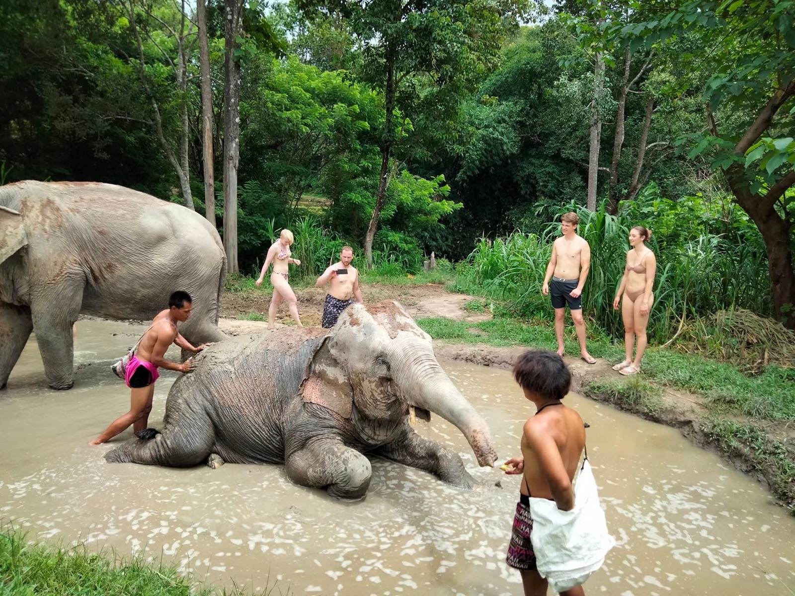 Ethical Elephant Experience + น้ำตกแม่สะป๊อก + ล่องแพไม้ไผ่
