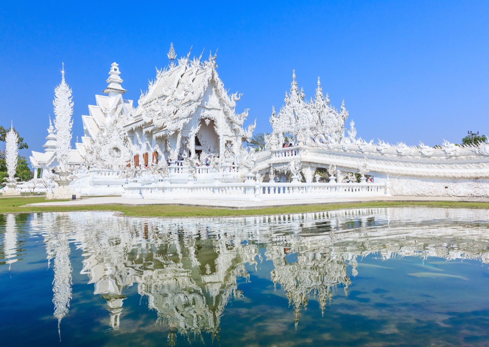 ทัวร์เชียงราย 1 วัน (วัดร่องขุ่น-วัดร่องเสือเต้น)