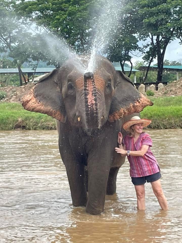 Full Day Maetaeng Elephant Care