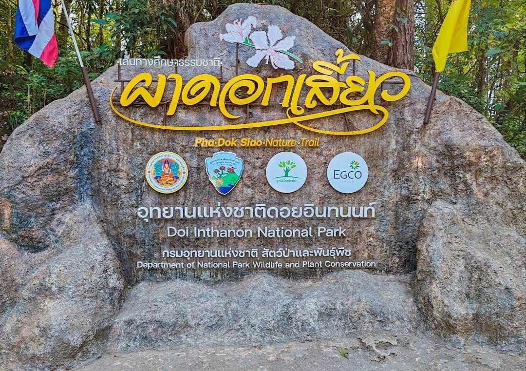 Pha Dok Siew Trekking & Doi Inthanon Nature Experience
